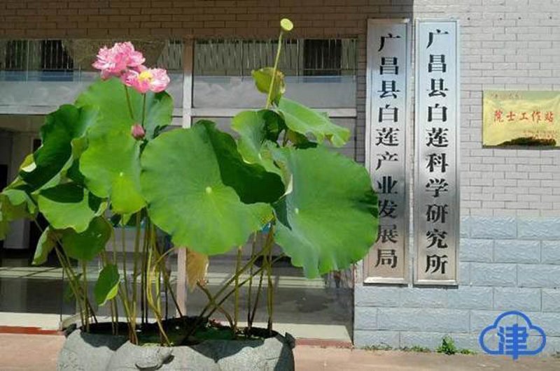 LED冷光源：为何成为舞台照明新宠？